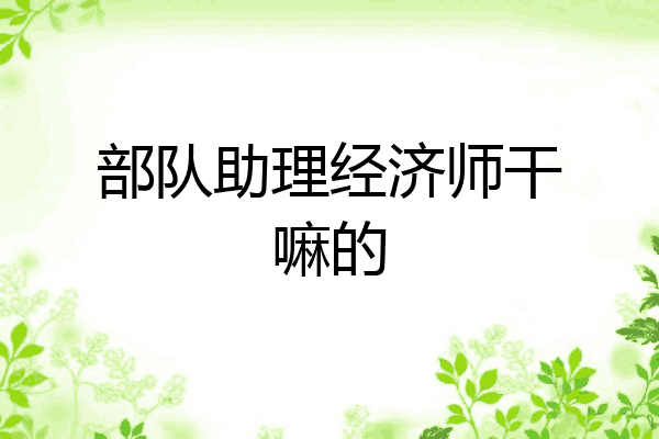 部队助理经济师干嘛的
