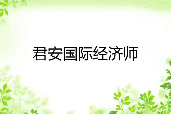 君安国际经济师