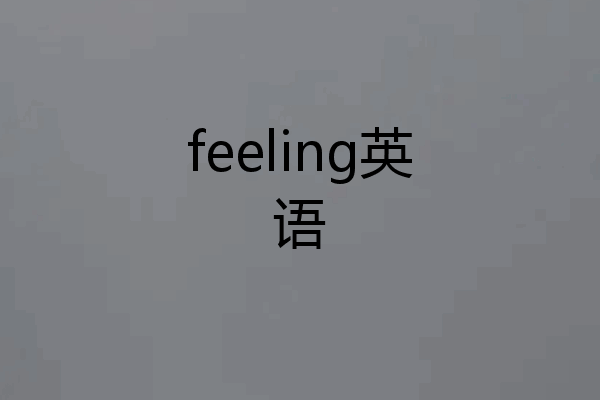 feeling英语