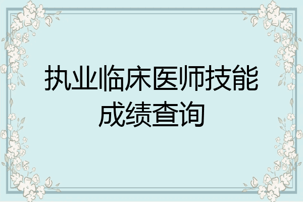 执业临床医师技能成绩查询