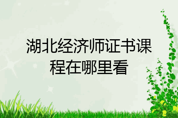 湖北经济师证书课程在哪里看