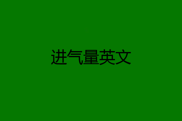 进气量英文