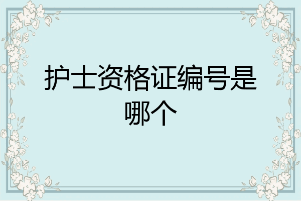 护士资格证编号是哪个