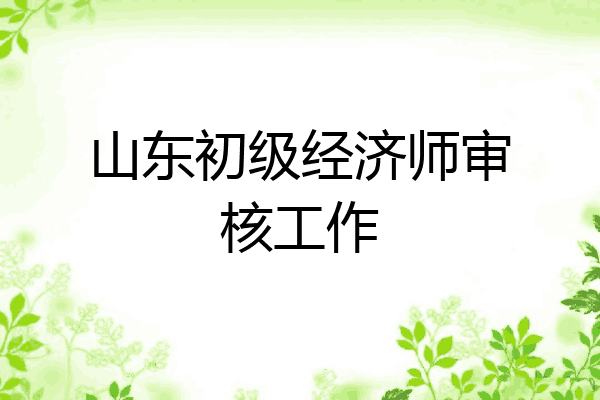 山东初级经济师审核工作