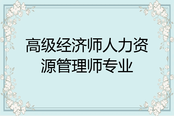 高级经济师人力资源管理师专业
