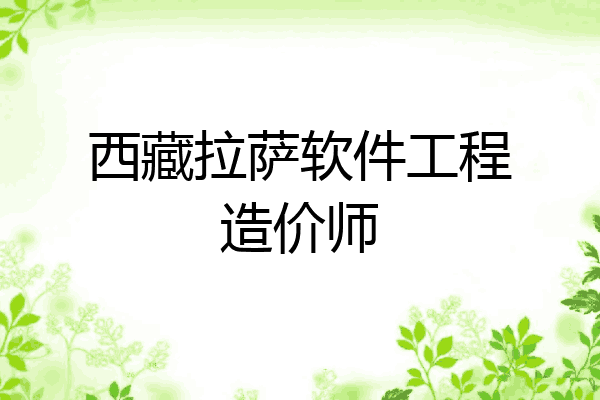 西藏拉萨软件工程造价师