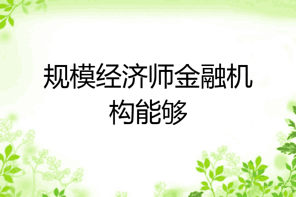 规模经济师金融机构能够