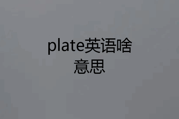 plate英语啥意思