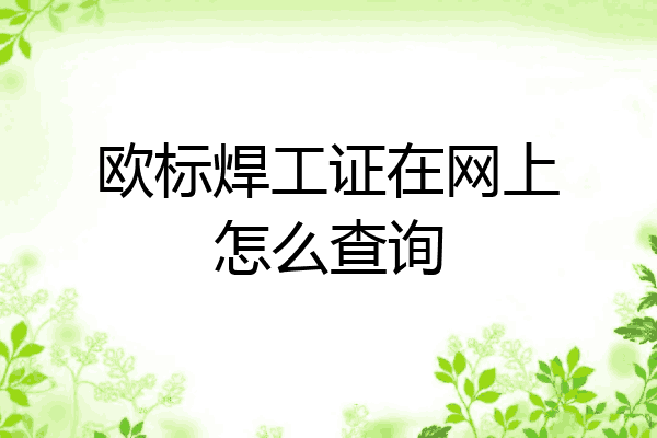 欧标焊工证在网上怎么查询