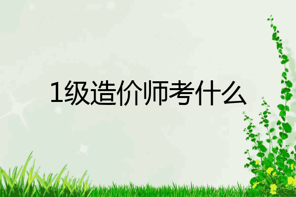 1级造价师考什么