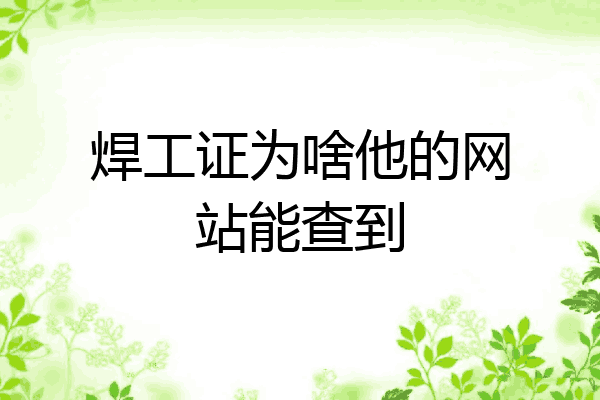 焊工证为啥他的网站能查到