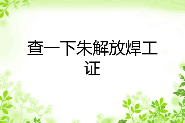 查一下朱解放焊工证