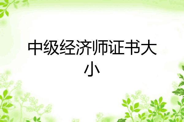 中级经济师证书大小