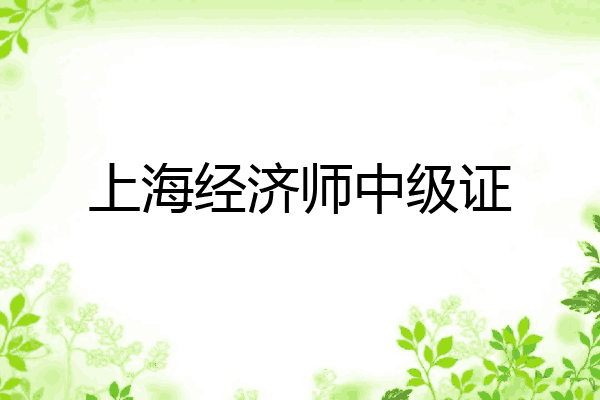 上海经济师中级证
