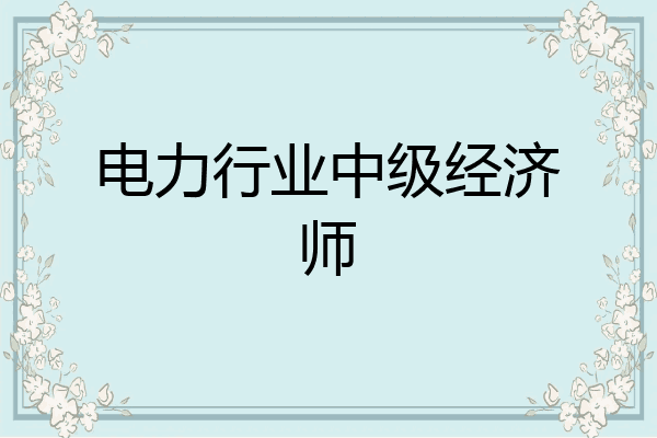 电力行业中级经济师