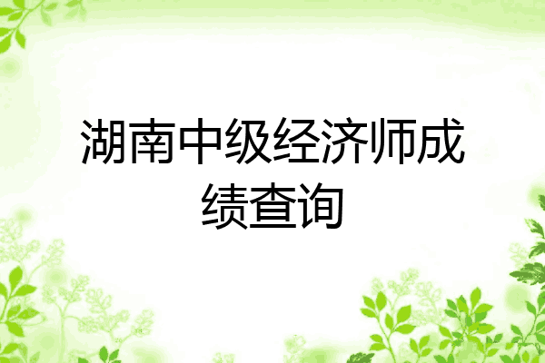 湖南中级经济师成绩查询