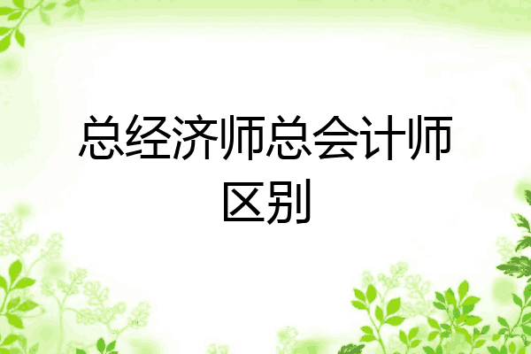 总经济师总会计师区别