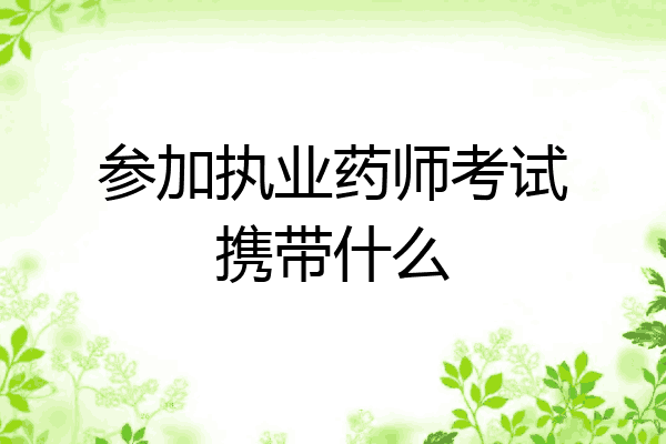 参加执业药师考试携带什么