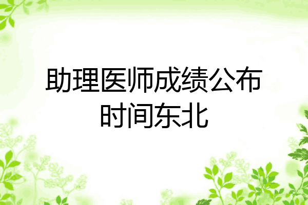助理医师成绩公布时间东北