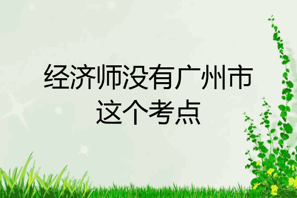 经济师没有广州市这个考点