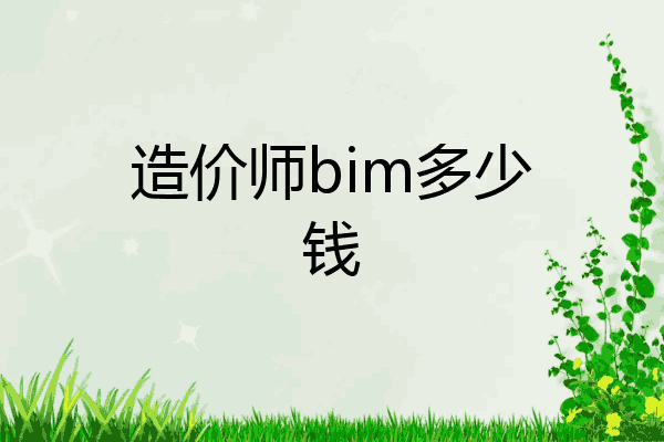 造价师bim多少钱