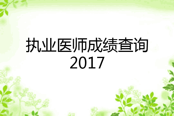 执业医师成绩查询2017