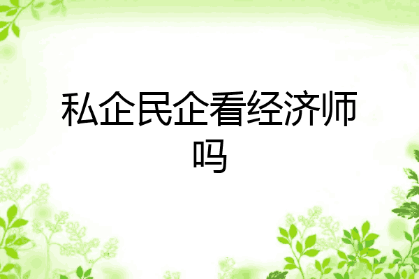 私企民企看经济师吗