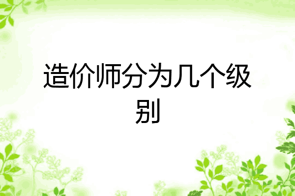 造价师分为几个级别
