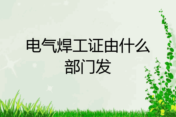 电气焊工证由什么部门发