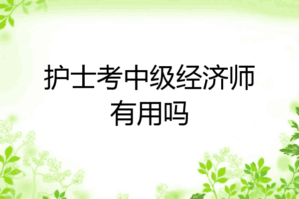 护士考中级经济师有用吗