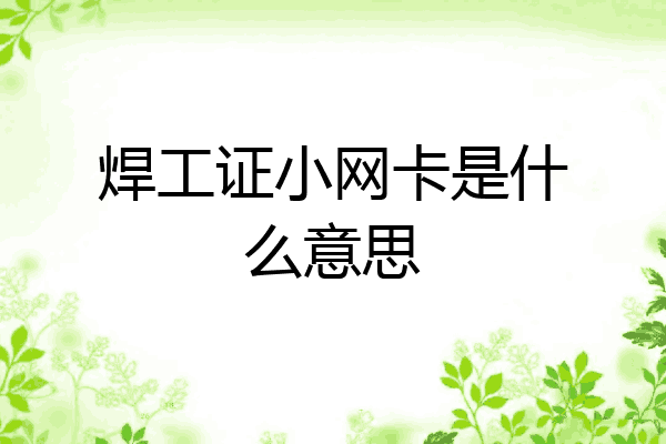 焊工证小网卡是什么意思