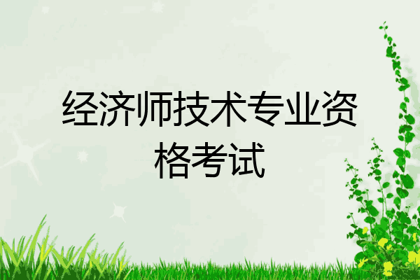 经济师技术专业资格考试