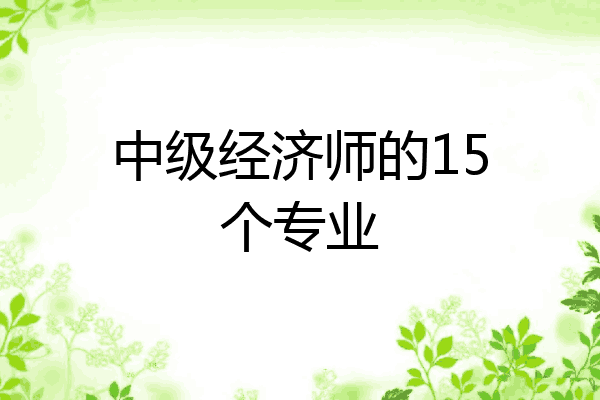 中级经济师的15个专业