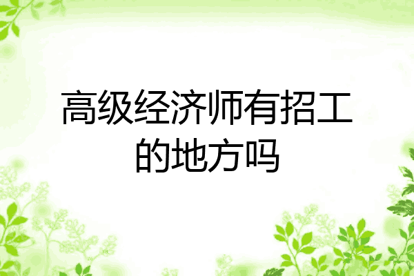 高级经济师有招工的地方吗