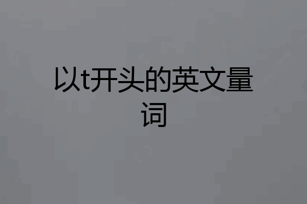 以t开头的英文量词