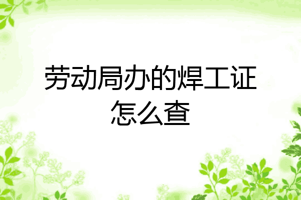 劳动局办的焊工证怎么查