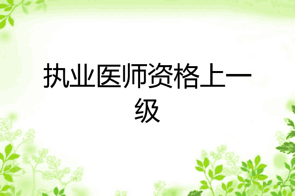 执业医师资格上一级