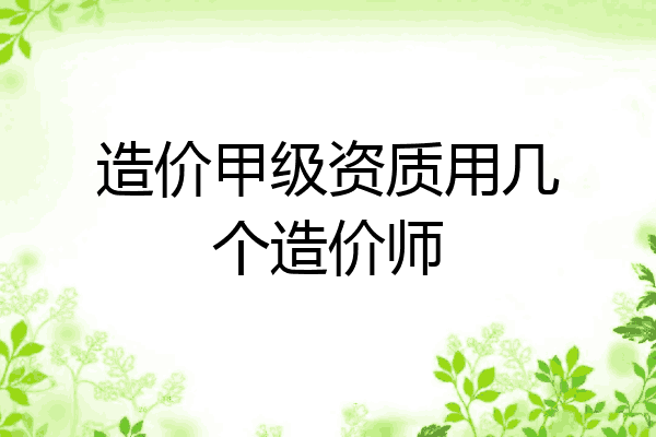 造价甲级资质用几个造价师