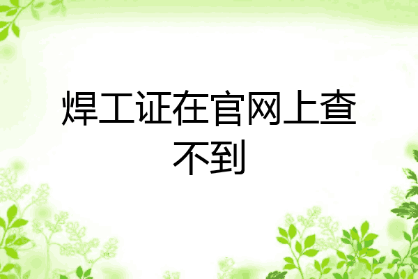 焊工证在官网上查不到