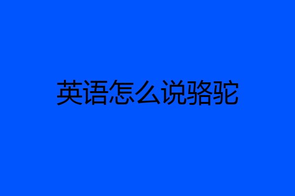 英语怎么说骆驼