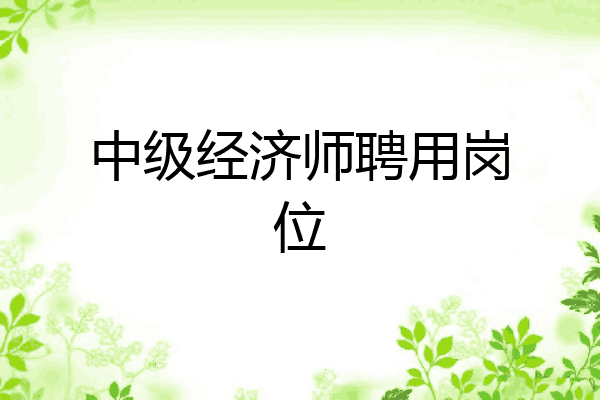 中级经济师聘用岗位