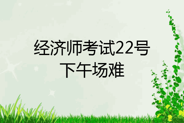 经济师考试22号下午场难