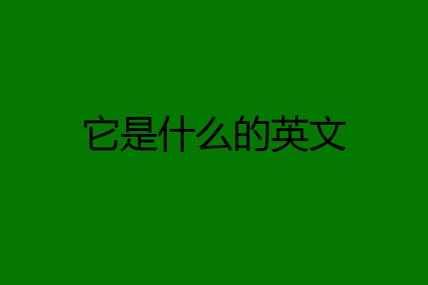 它是什么的英文