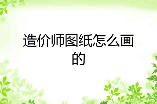 造价师图纸怎么画的