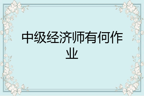 中级经济师有何作业