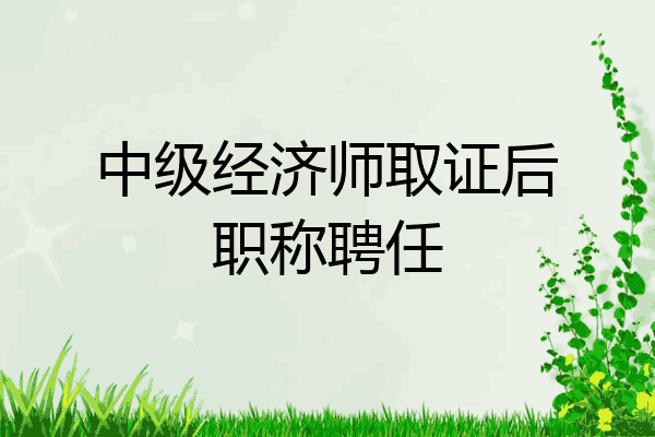中级经济师取证后职称聘任