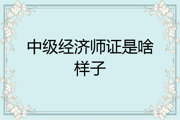 中级经济师证是啥样子
