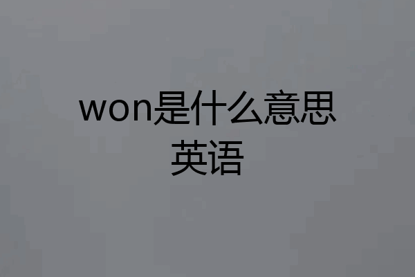 won是什么意思英语