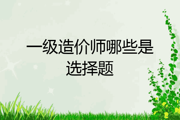 一级造价师哪些是选择题