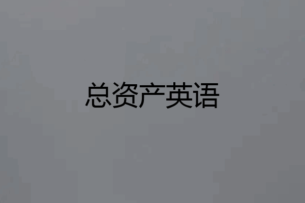 总资产英语
